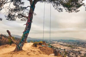 Swing at Elysian Park