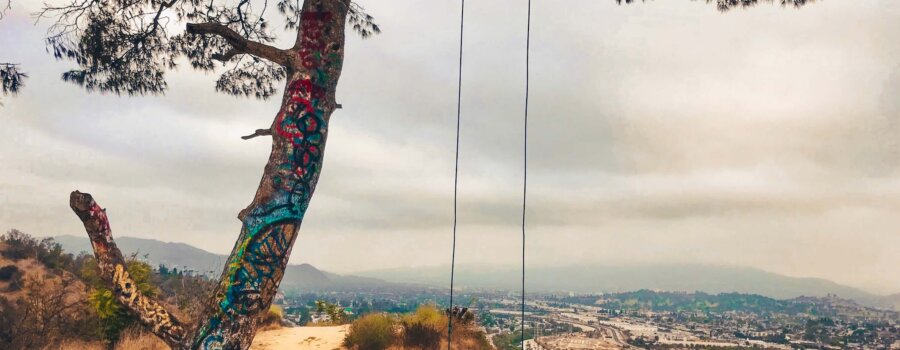 Swing at Elysian Park