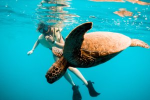 Brea and the sea turtle that we saw