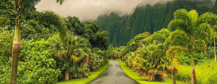 Botanical Garden Road in Hawaii