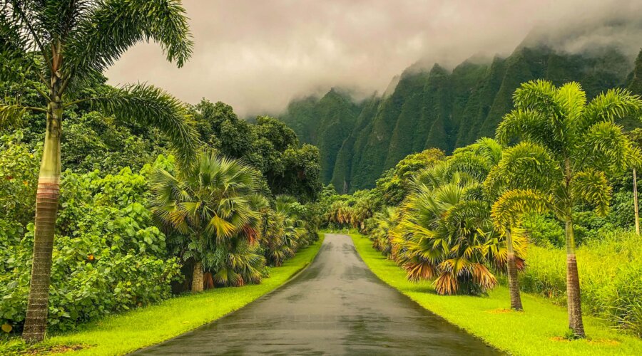 Botanical Garden Road in Hawaii