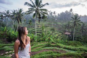 Tegalalang Rice Terrace