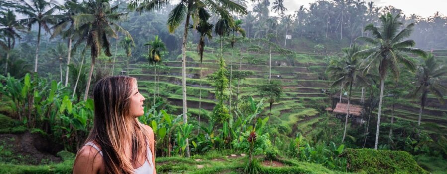 Tegalalang Rice Terrace