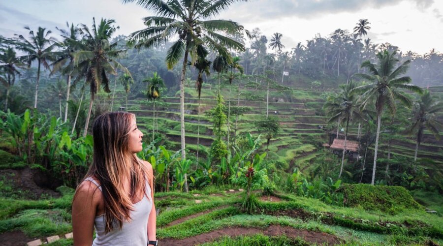 Tegalalang Rice Terrace