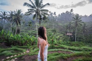 Tegalalang Rice Terrace