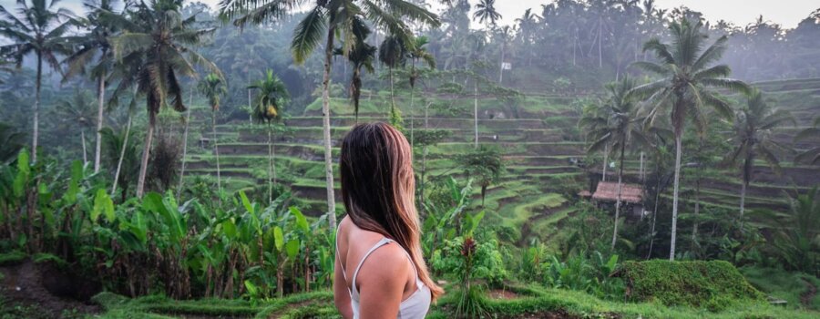 Tegalalang Rice Terrace