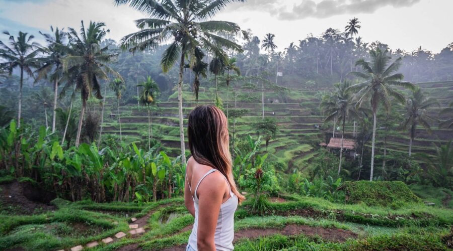 Tegalalang Rice Terrace