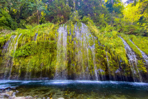 Mossbrae Falls