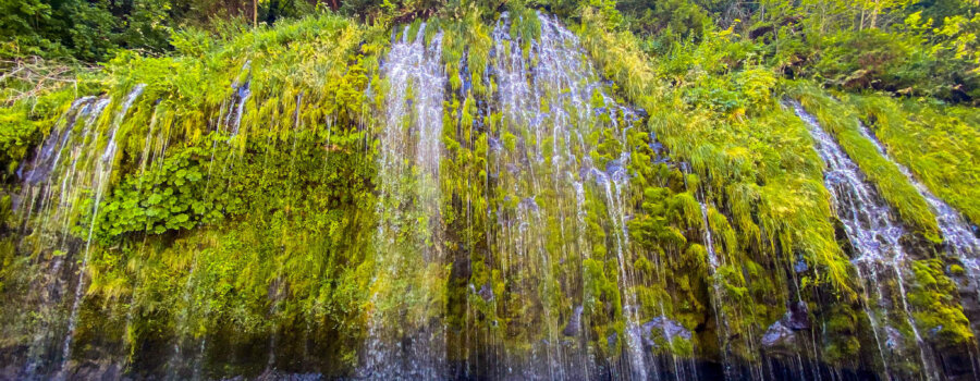 Mossbrae Falls