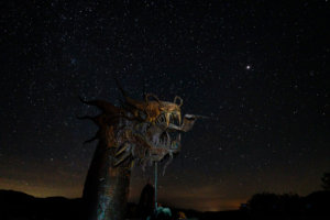 Borrego Springs Night Photography Serpent