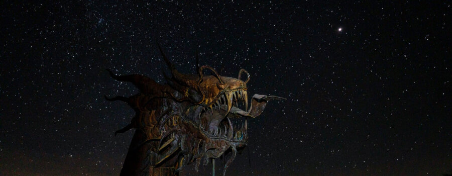 Borrego Springs Night Photography Serpent