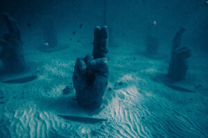 Snorkeling in Cancun