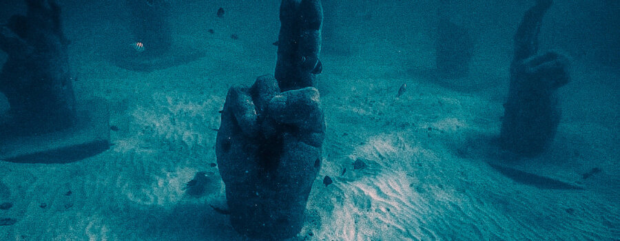 Snorkeling in Cancun