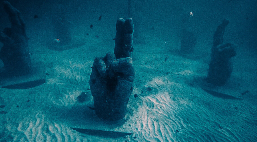 Snorkeling in Cancun