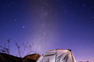 Joshua Tree