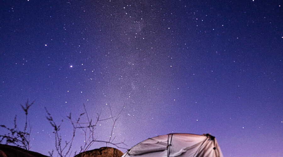 Joshua Tree