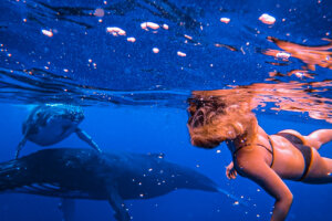 Whales in Moorea