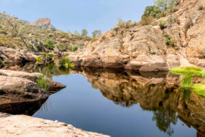 Camping at Pinnacles National Park