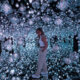 TeamLab Borderless Tokyo: An Immersive Experience (with a Hint of Regret)